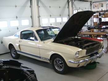 1966 Mustang Shelby GT350