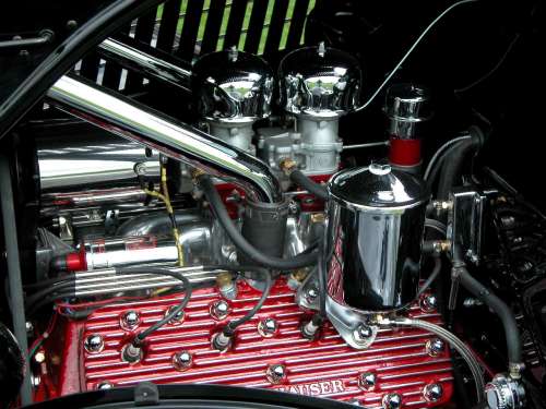 Flathead